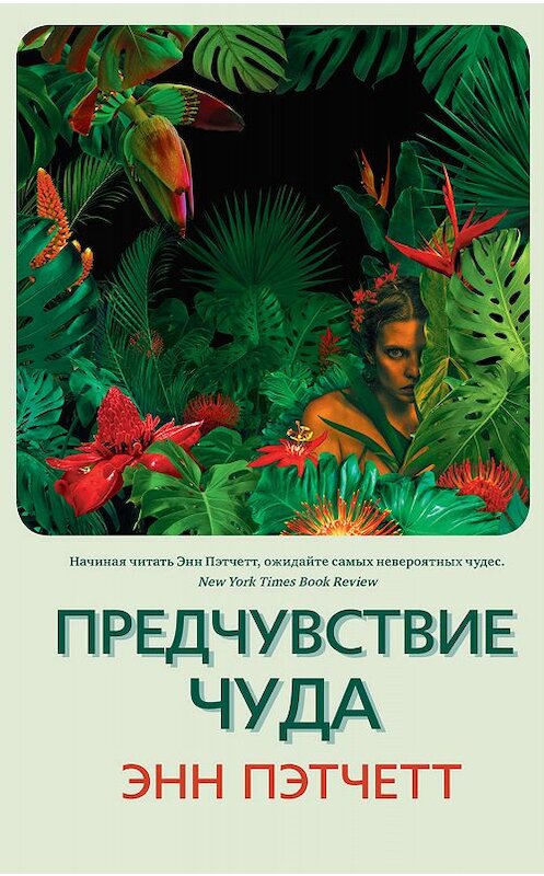 Обложка книги «Предчувствие чуда» автора Энна Пэтчетта издание 2020 года. ISBN 9785001311782.