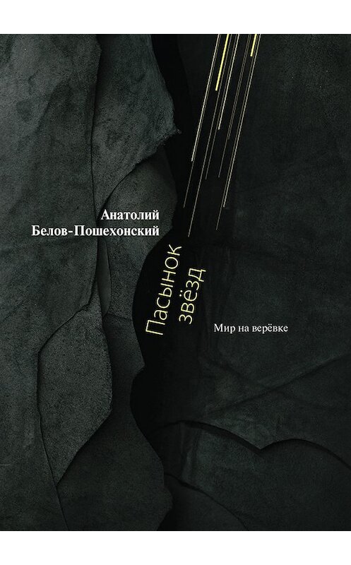 Обложка книги «Пасынок звёзд. Мир на верёвке» автора Анатолия Белов-Пошехонския. ISBN 9785448341892.