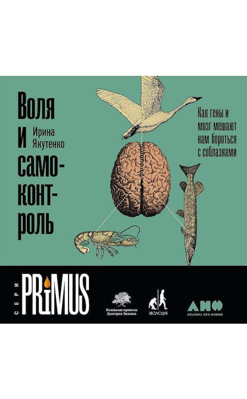 Обложка аудиокниги «Воля и самоконтроль: Как гены и мозг мешают нам бороться с соблазнами» автора Ириной Якутенко. ISBN 9785961452143.