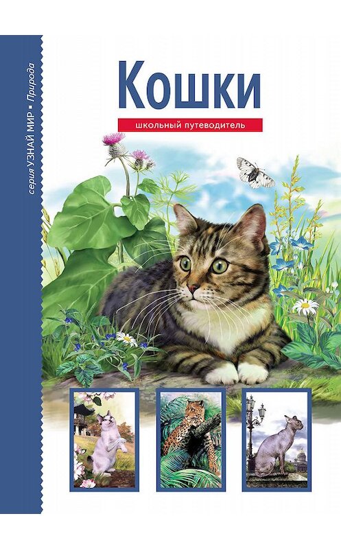 Обложка книги «Кошки» автора Сергея Афонькина издание 2018 года. ISBN 9785912333453.