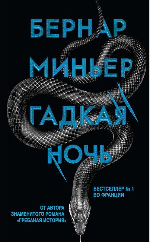 Обложка книги «Гадкая ночь» автора Бернара Миньера издание 2019 года. ISBN 9785041012380.