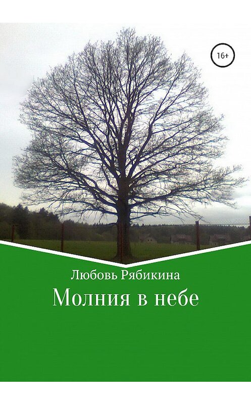 Обложка книги «Молния в небе» автора Любовь Рябикины издание 2020 года.