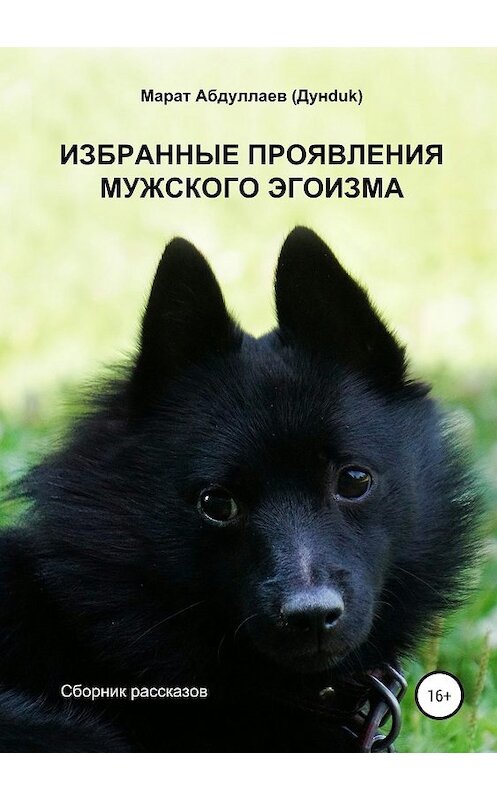 Обложка книги «Избранные проявления мужского эгоизма. Сборник рассказов» автора Марата Абдуллаева издание 2019 года.