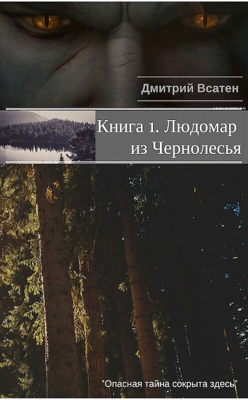 Обложка книги «Книга 1. Людомар из Чернолесья» автора Дмитрия Всатена.