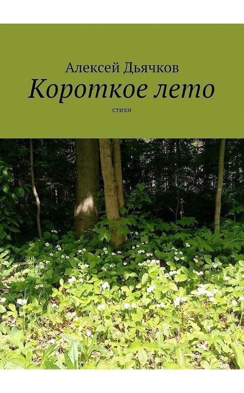 Обложка книги «Короткое лето. Стихи» автора Алексея Дьячкова. ISBN 9785448534584.