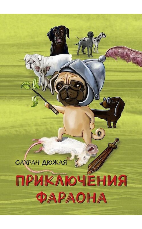 Обложка книги «Приключения Фараона» автора Сахран Дюжая. ISBN 9785449665171.