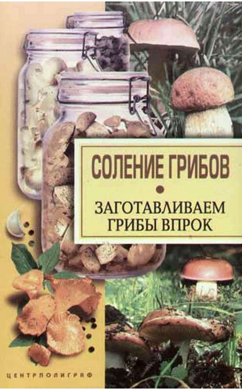 Обложка книги «Соление грибов. Заготавливаем грибы впрок» автора Неустановленного Автора издание 2003 года. ISBN 5952404421.
