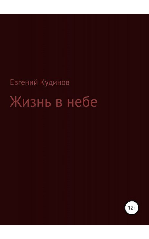 Обложка книги «Жизнь в небе» автора Евгеного Кудинова издание 2019 года.