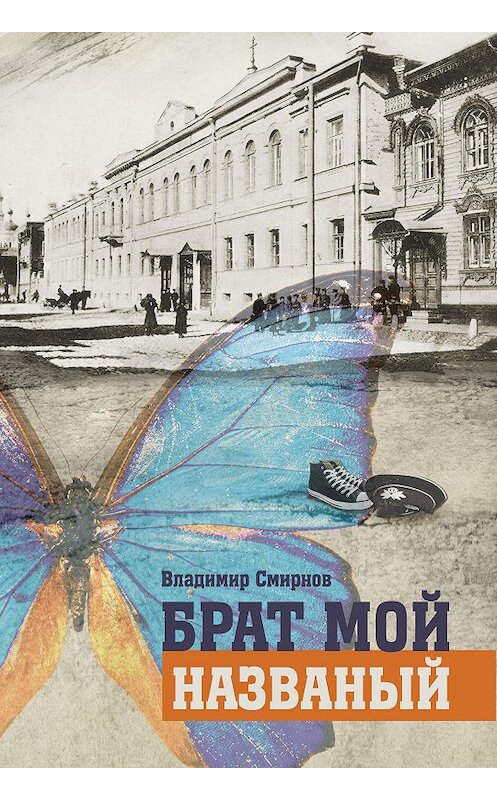 Обложка книги «Брат мой названый» автора Владимира Смирнова. ISBN 9785906070104.