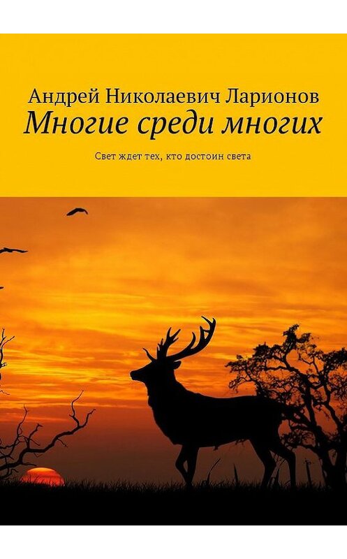 Обложка книги «Многие среди многих. Свет ждет тех, кто достоин света» автора Андрея Ларионова. ISBN 9785448540493.