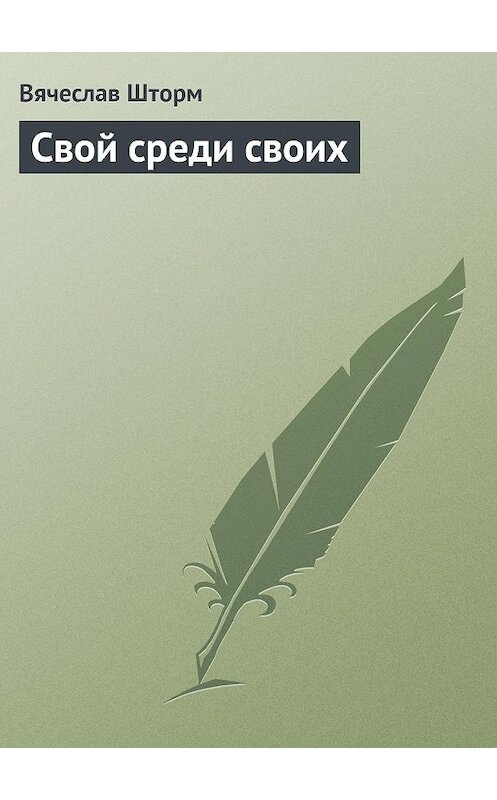 Обложка книги «Свой среди своих» автора Вячеслава Шторма.
