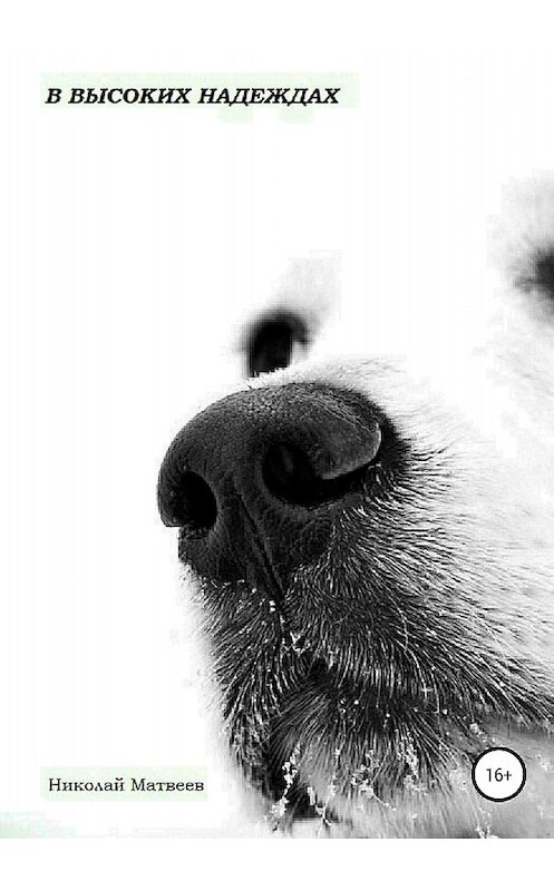 Обложка книги «В высоких надеждах» автора Николая Матвеева издание 2018 года.