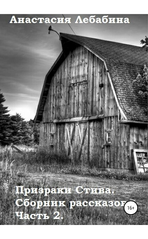 Обложка книги «Призраки Стива. Сборник рассказов. Часть 2» автора Анастасии Лебабины издание 2019 года.