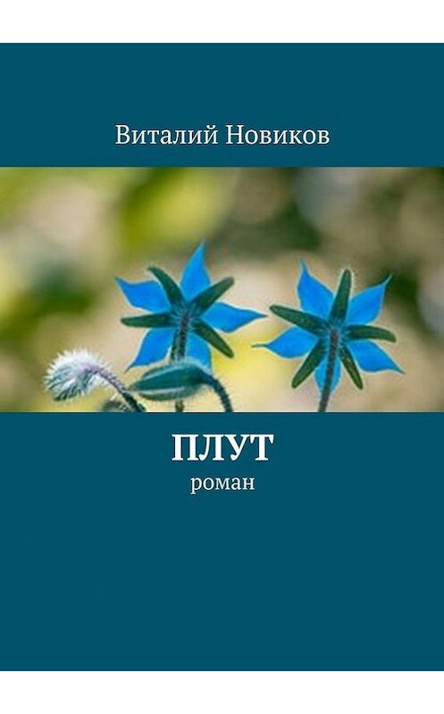 Обложка книги «Плут. роман» автора Виталия Новикова. ISBN 9785447489809.