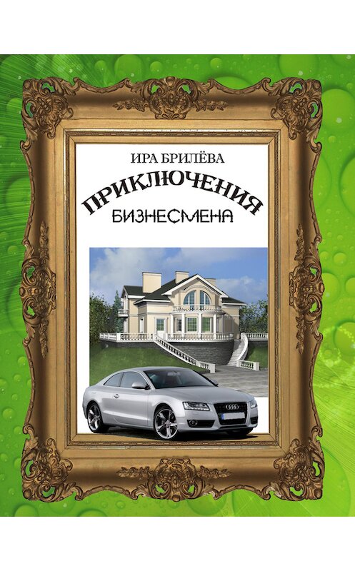 Обложка книги «Приключения бизнесмена» автора Иры Брилёвы.