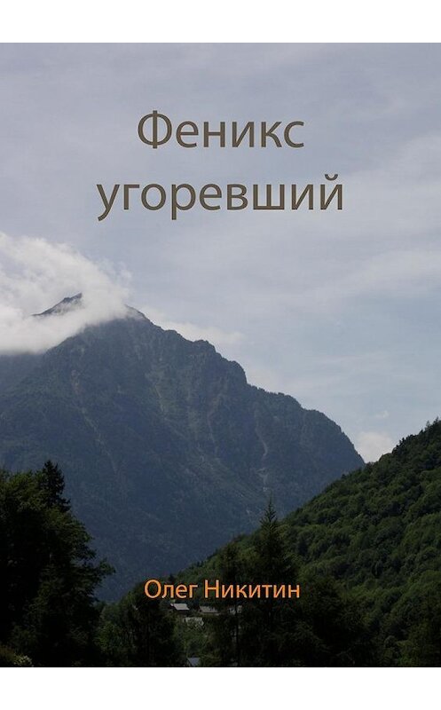 Обложка книги «Феникс угоревший» автора Олега Никитина. ISBN 9785448582066.