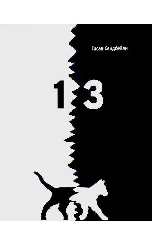 Обложка книги «13 (сборник)» автора Гасан Сеидбейли Ii. ISBN 9785447402143.