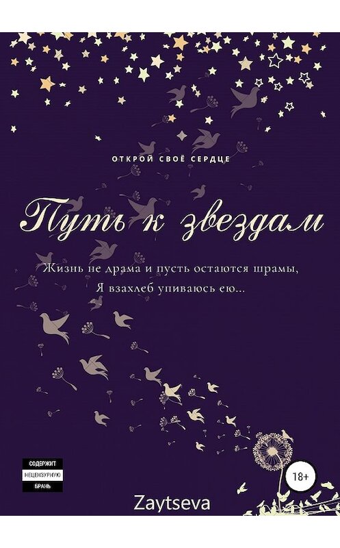 Обложка книги «Путь к звёздам» автора Oly Zaytseva издание 2019 года.