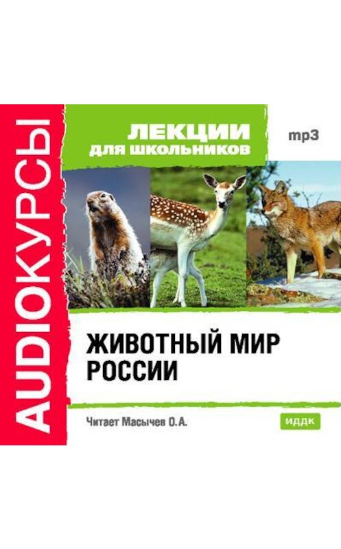 Обложка аудиокниги «Животный мир России» автора Коллектива Авторова.