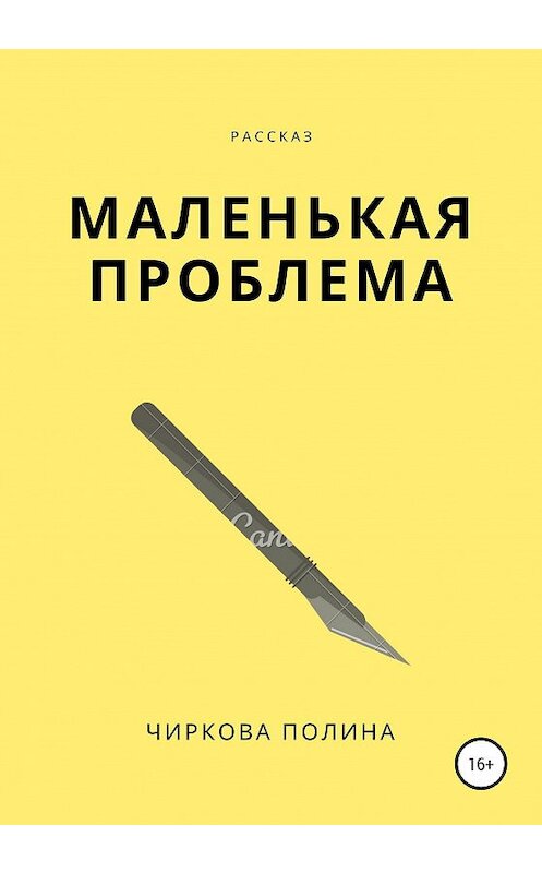 Обложка книги «Маленькая проблема» автора Полиной Чирковы издание 2020 года.