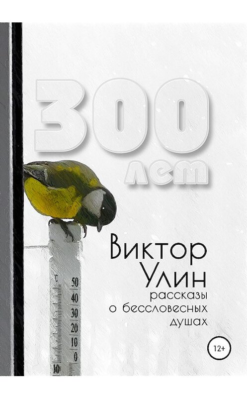 Обложка книги «300 лет» автора Виктора Улина издание 2020 года. ISBN 9785532073913.