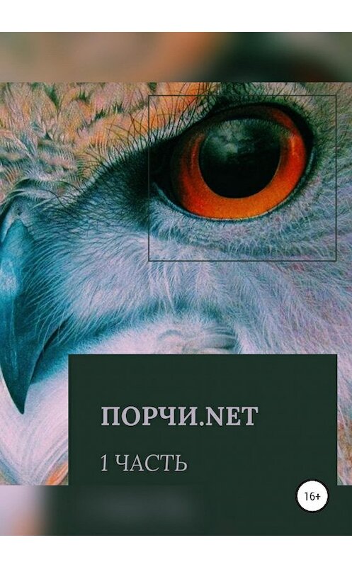 Обложка книги «Порчи.net. Часть первая» автора Ольги Петровы издание 2020 года.