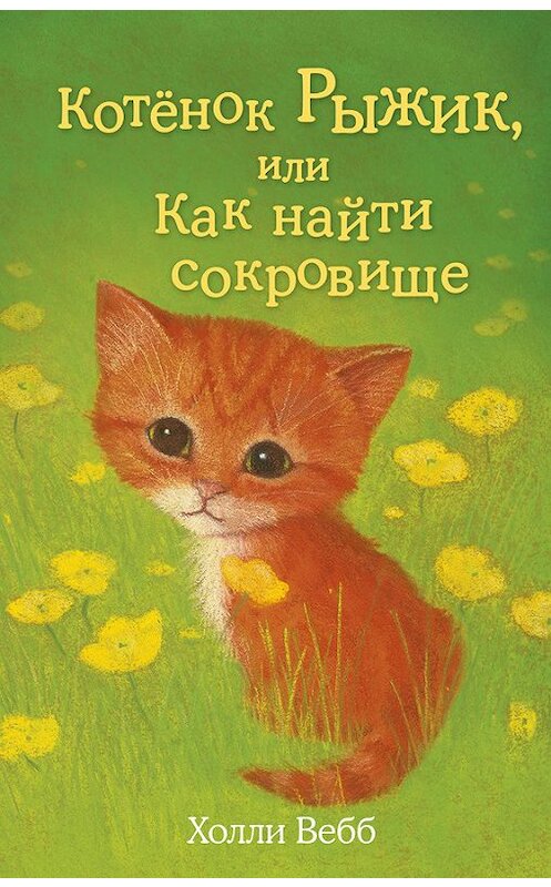 Обложка книги «Котёнок Рыжик, или Как найти сокровище» автора Холли Вебба издание 2015 года. ISBN 9785699761081.