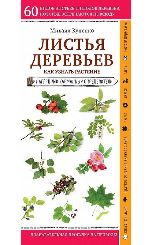 Обложка книги «Листья деревьев. Как узнать растение» автора Михаил Куценко издание 2020 года. ISBN 9785041118860.