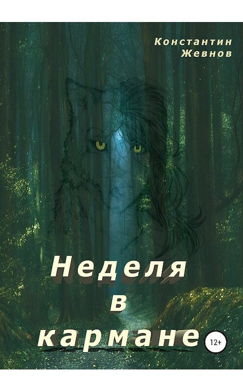 Обложка книги «Неделя в кармане» автора Константина Жевнова издание 2020 года. ISBN 9785532074200.