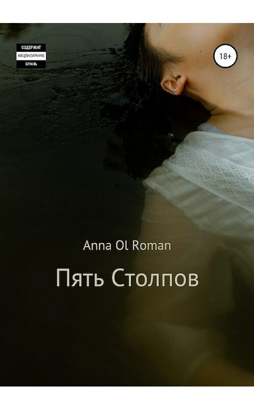 Обложка книги «Пять Столпов» автора Anna Ol Roman издание 2020 года.