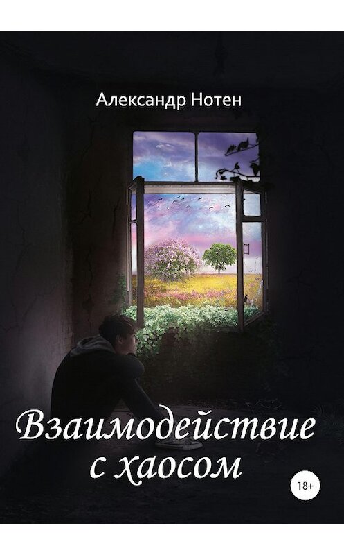 Обложка книги «Взаимодействие с хаосом» автора Александра Нотена издание 2020 года.