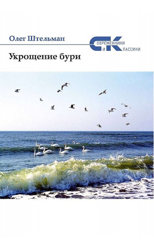 Обложка книги «Укрощение бури (сборник)» автора Олега Штельмана. ISBN 9785906957870.