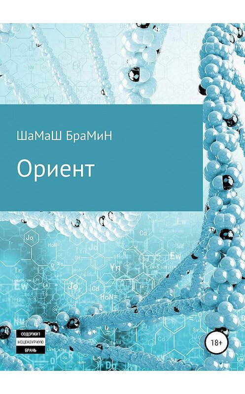 Обложка книги «Ориент» автора Шамаша Брамина издание 2019 года.