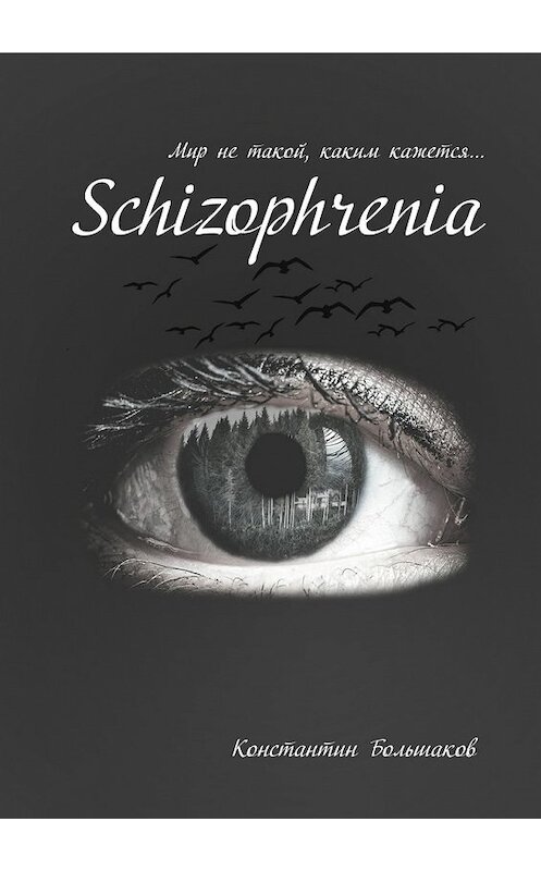 Обложка книги «Schizophrenia. Мир не такой, каким кажется» автора Константина Большакова. ISBN 9785447494957.