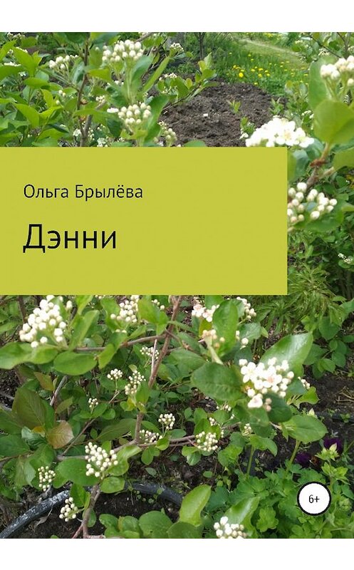 Обложка книги «Дэнни» автора Ольги Брылёвы издание 2020 года.