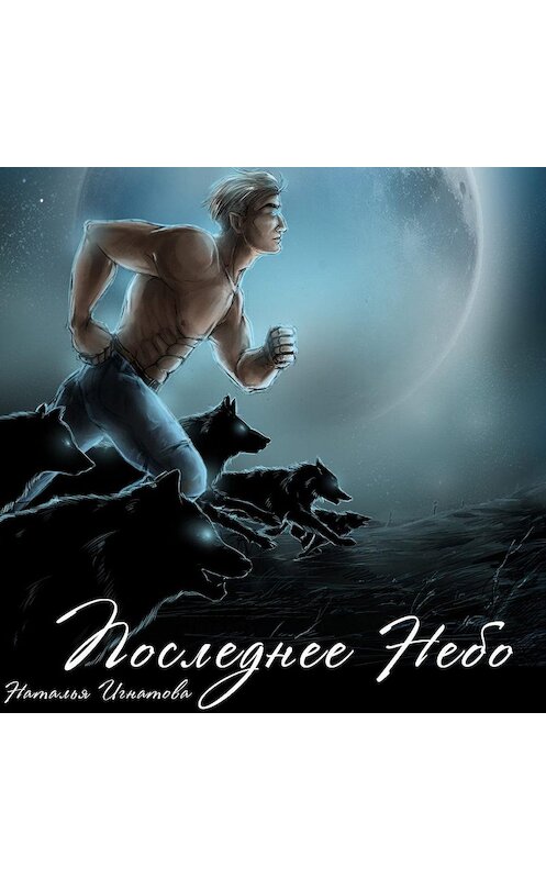 Обложка аудиокниги «Последнее небо» автора Натальи Игнатова.