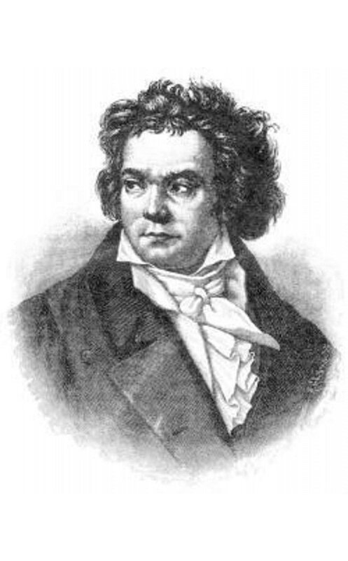 Обложка книги «Людвиг ван Бетховен. Его жизнь и музыкальная деятельность» автора И. Давыдова.