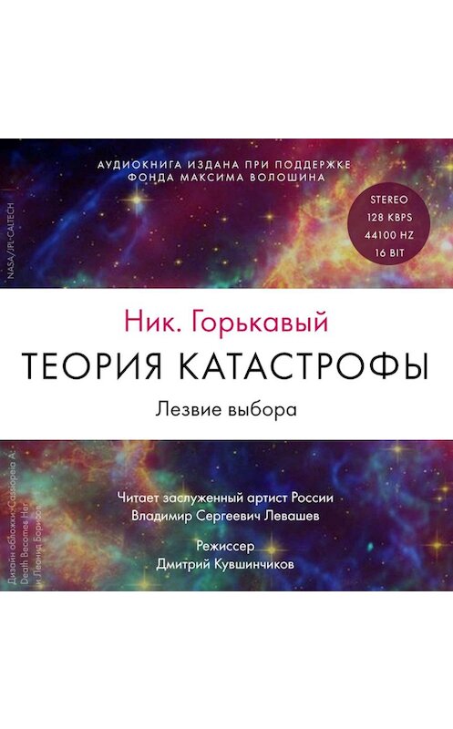 Обложка аудиокниги «Теория катастрофы. Книга 2. Лезвие выбора» автора Николая Горькавый. ISBN 9785961448740.