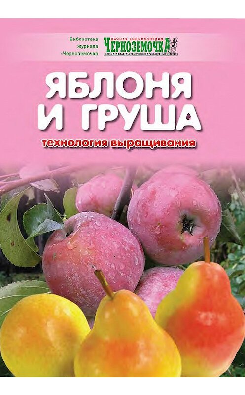 Обложка книги «Яблоня и груша. Технология выращивания» автора Неустановленного Автора издание 2009 года.