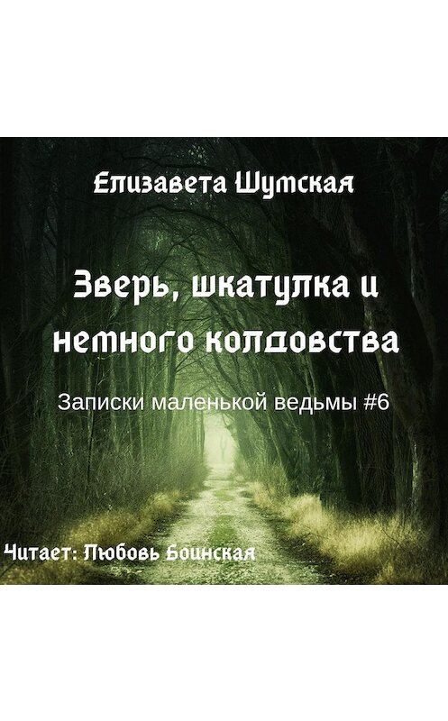 Обложка аудиокниги «Зверь, шкатулка и немного колдовства» автора Елизавети Шумская.