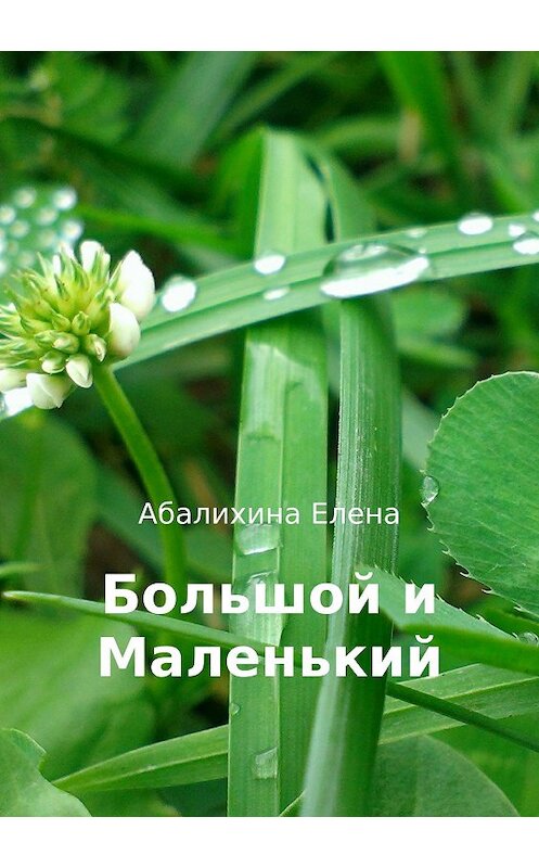 Обложка книги «Большой и маленький» автора Елены Абалихины издание 2018 года.