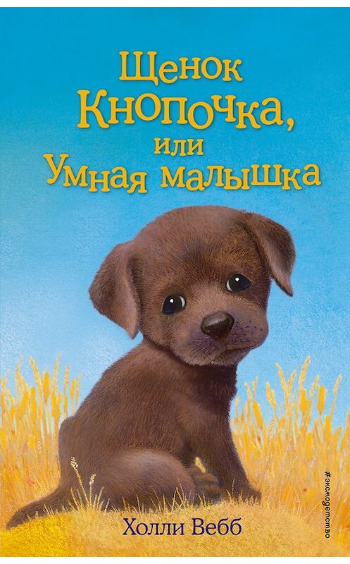 Обложка книги «Щенок Кнопочка, или Умная малышка» автора Холли Вебба издание 2017 года. ISBN 9785699925421.