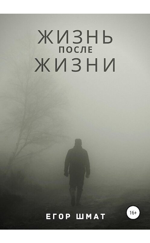 Обложка книги «Жизнь после Жизни» автора Егора Шмата издание 2020 года.