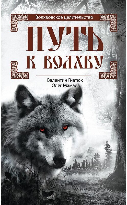 Обложка книги «Путь к волхву» автора  издание 2016 года. ISBN 9785227068620.