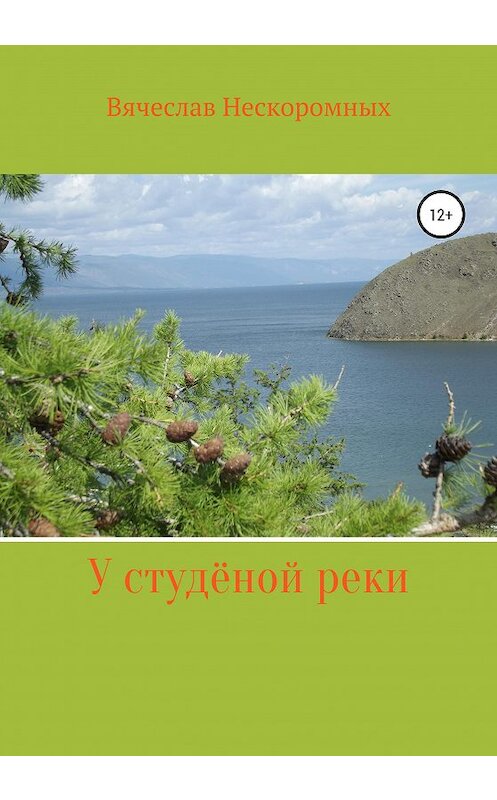 Обложка книги «У студёной реки» автора Вячеслава Нескоромныха издание 2020 года. ISBN 9785532113213.
