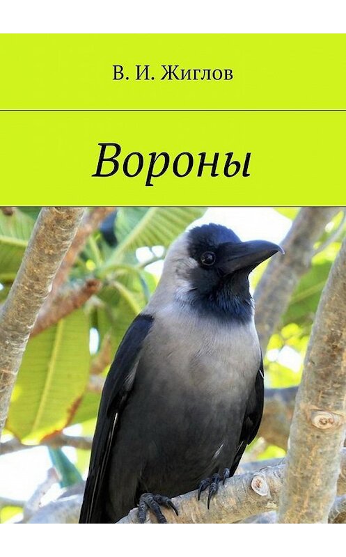 Обложка книги «Вороны» автора В. Жиглова. ISBN 9785448529412.