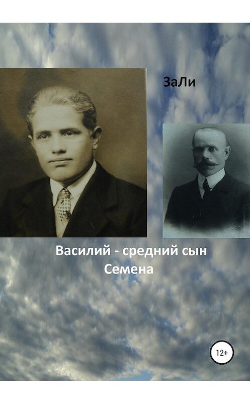 Обложка книги «Василий – средний сын Семена» автора Зали издание 2020 года.
