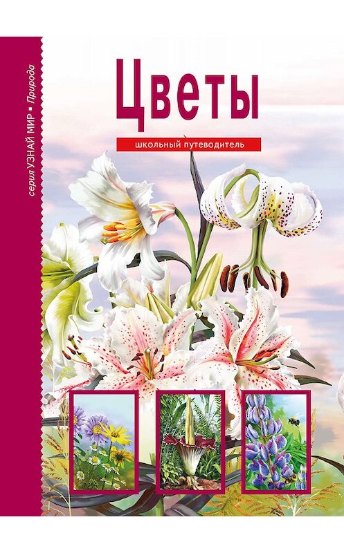 Обложка книги «Цветы» автора Сергея Афонькина издание 2018 года. ISBN 9785912330964.