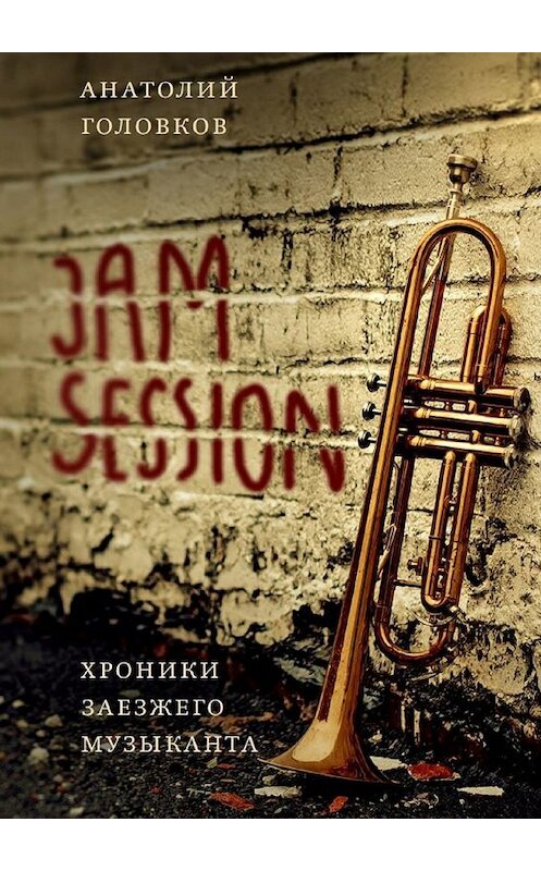 Обложка книги «Jam session. Хроники заезжего музыканта» автора Анатолия Головкова. ISBN 9785449644411.