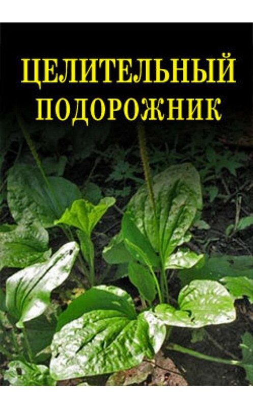 Обложка книги «Целительный подорожник» автора Ивана Дубровина.